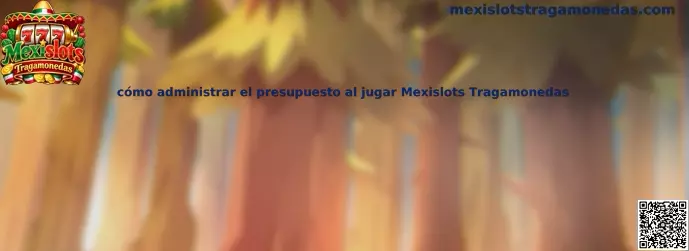 Guía visual para organizar el presupuesto y establecer límites al jugar Mexislots Tragamonedas
