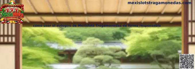 Explicación del uso responsable del autogiro de Mexislots Tragamonedas