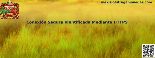 Conexión segura identificada mediante HTTPS en Mexislots Tragamonedas